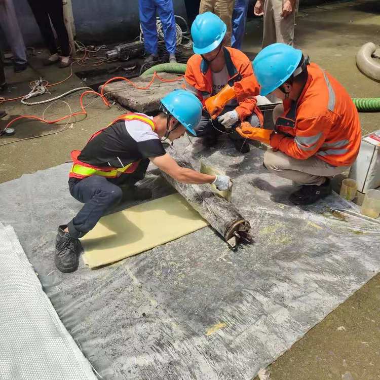 雷鸣镇管道局部修复-管道固化修复